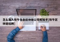 怎么加入牧牛生态区块链公司呢知乎[牧牛区块链招聘]